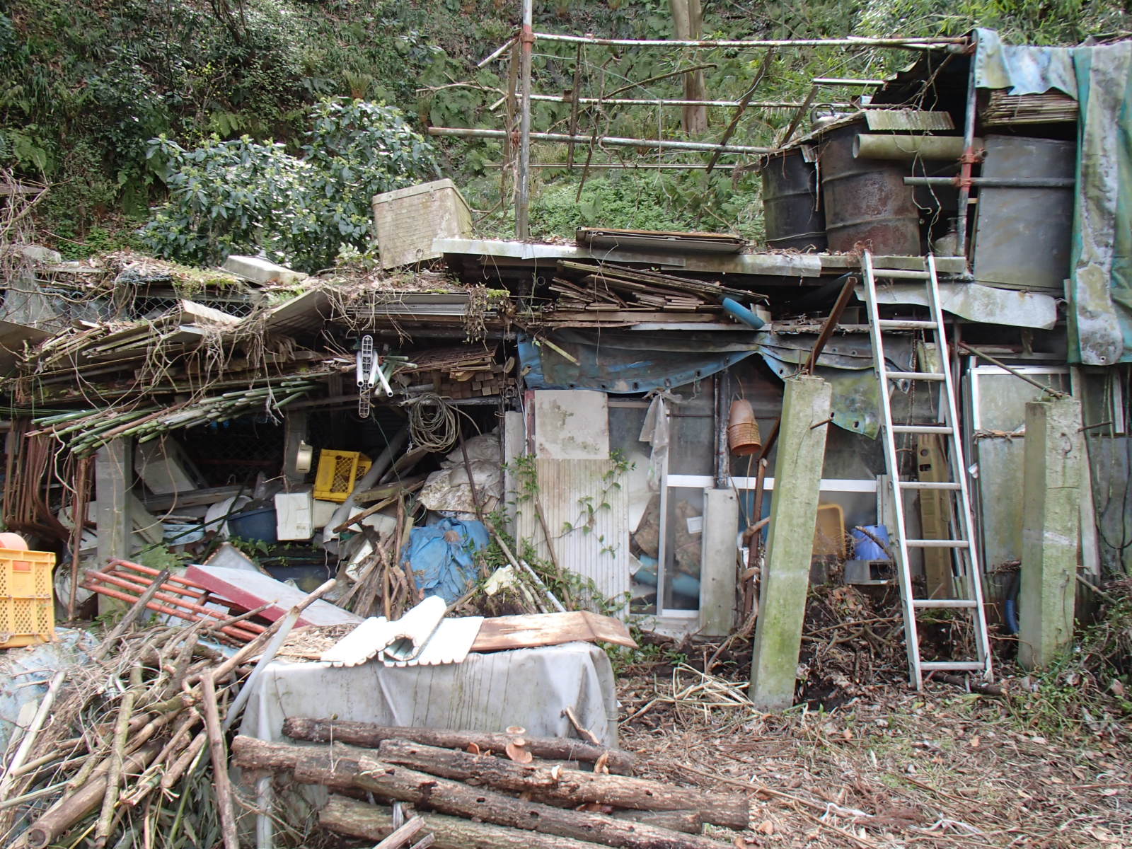 逗子市 解体前の木造小屋